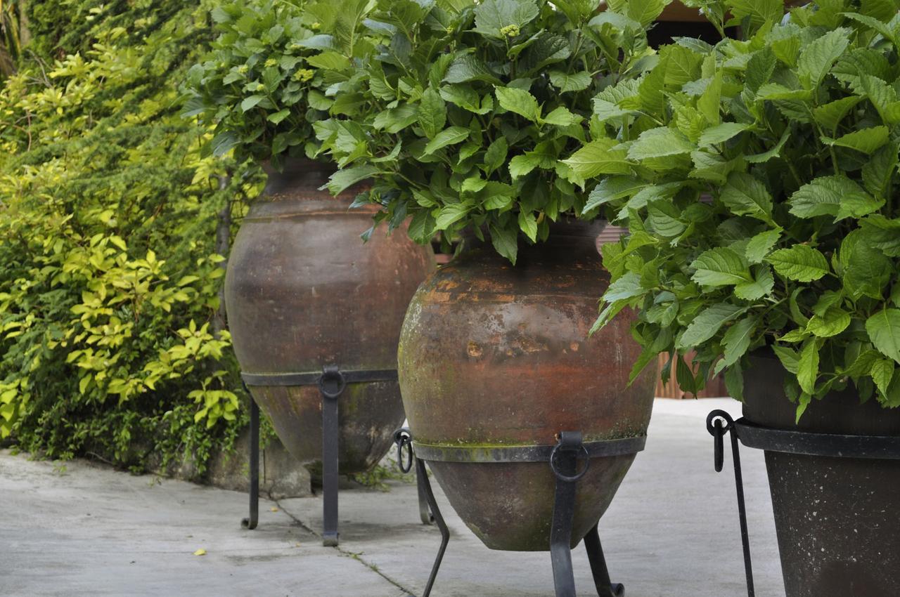 Hotel Pazo De Monterrei Ourense Zewnętrze zdjęcie